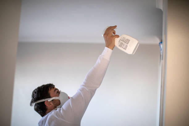 Best Best Mold Removal Companies  in Zachary, LA