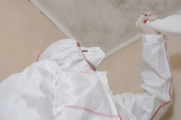 Best Residential Mold Removal  in Zachary, LA